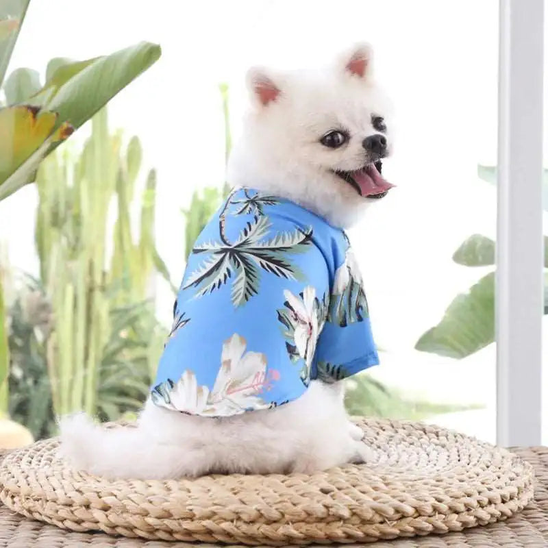 Summer Dog Shirts - Stylish & Comfortable