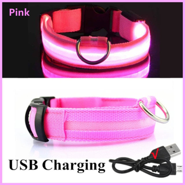 LED Glowing Dog Collar - Rechargeable & Waterproof