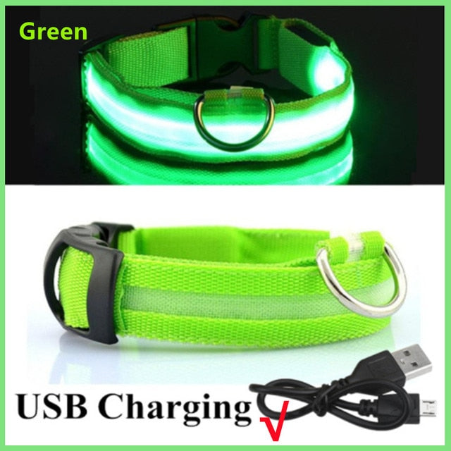 LED Glowing Dog Collar - Rechargeable & Waterproof