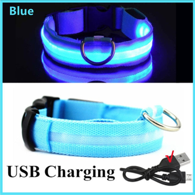 LED Glowing Dog Collar - Rechargeable & Waterproof