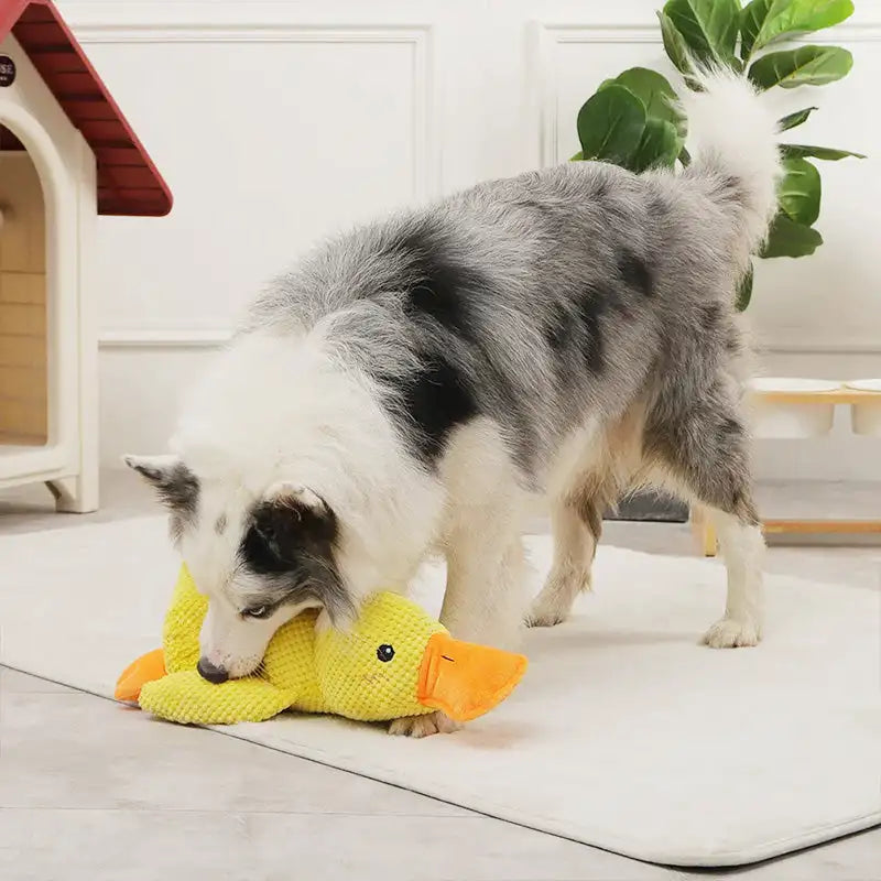 Durable Plush Duck Dog Toy with Sound