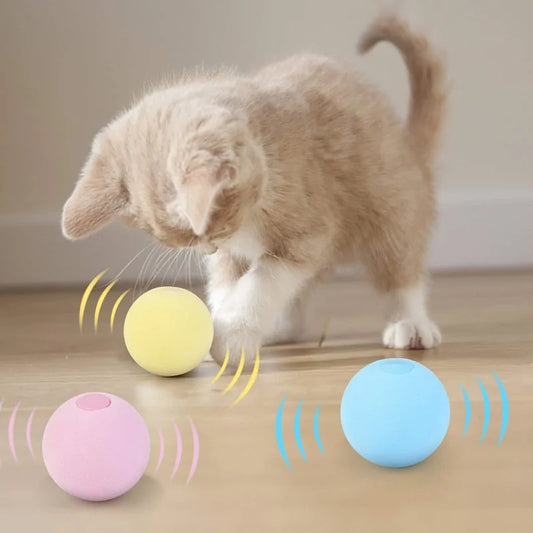 Interactive Catnip Ball - Sound Toy for Cats | FourPaws Emporium