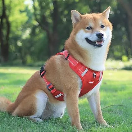 Reflective Stress- Relieving Harness