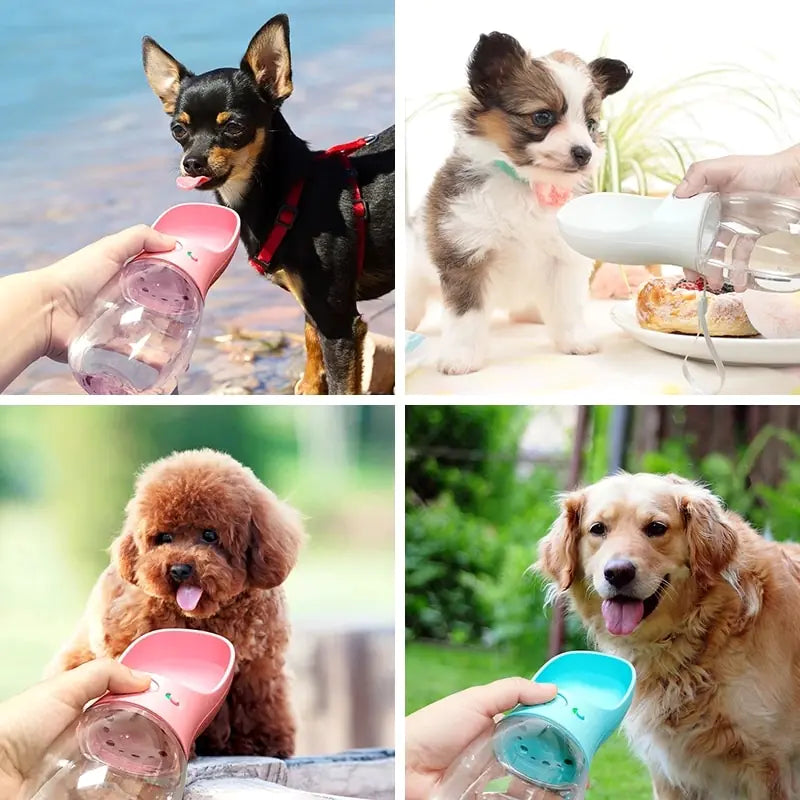 FourPaws Emporium Portable Pet Travel Water Bottle: Durable, Leak-Proof, and Compact for Convenient Hydration On-the-Go