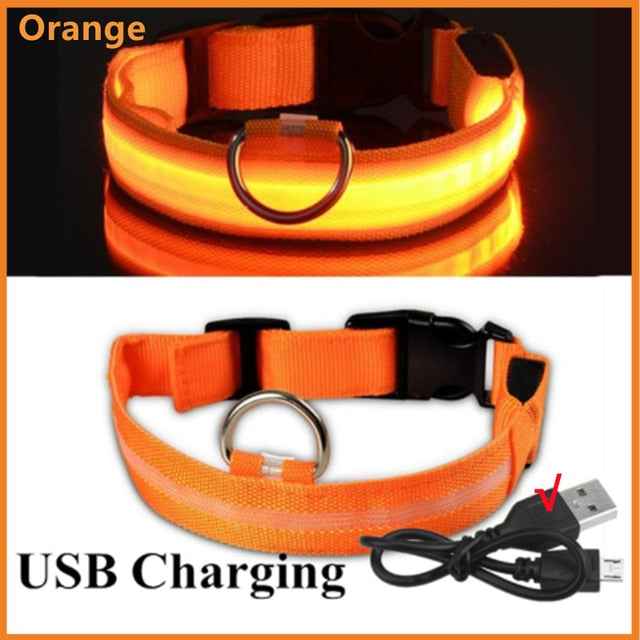 LED Glowing Dog Collar - Rechargeable & Waterproof