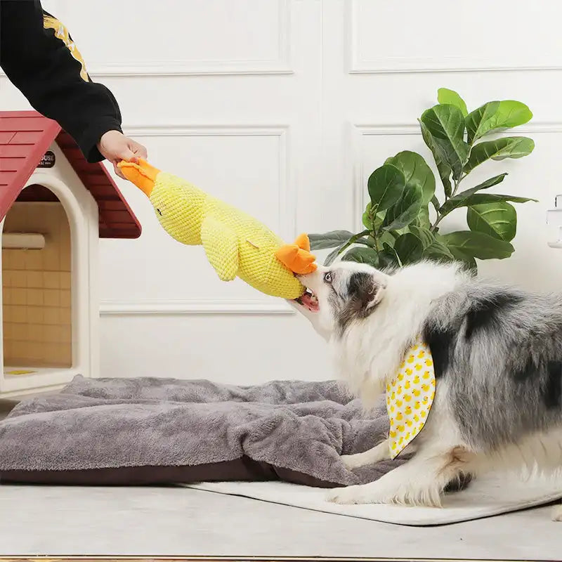 Durable Plush Duck Dog Toy with Sound