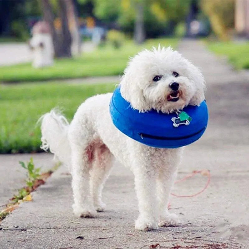 Inflatable Pet Recovery Collar