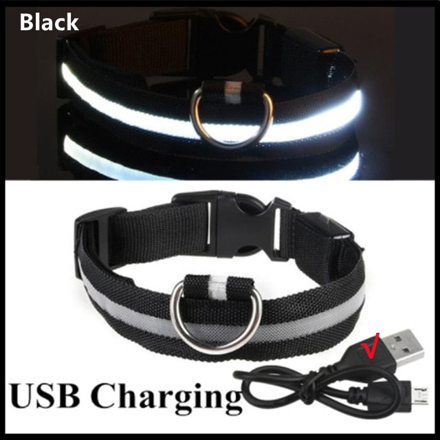 LED Glowing Dog Collar - Rechargeable & Waterproof