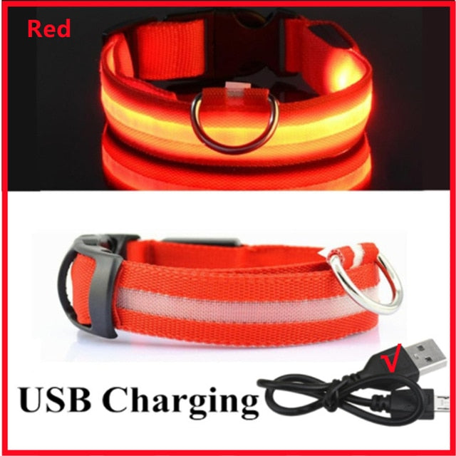 LED Glowing Dog Collar - Rechargeable & Waterproof