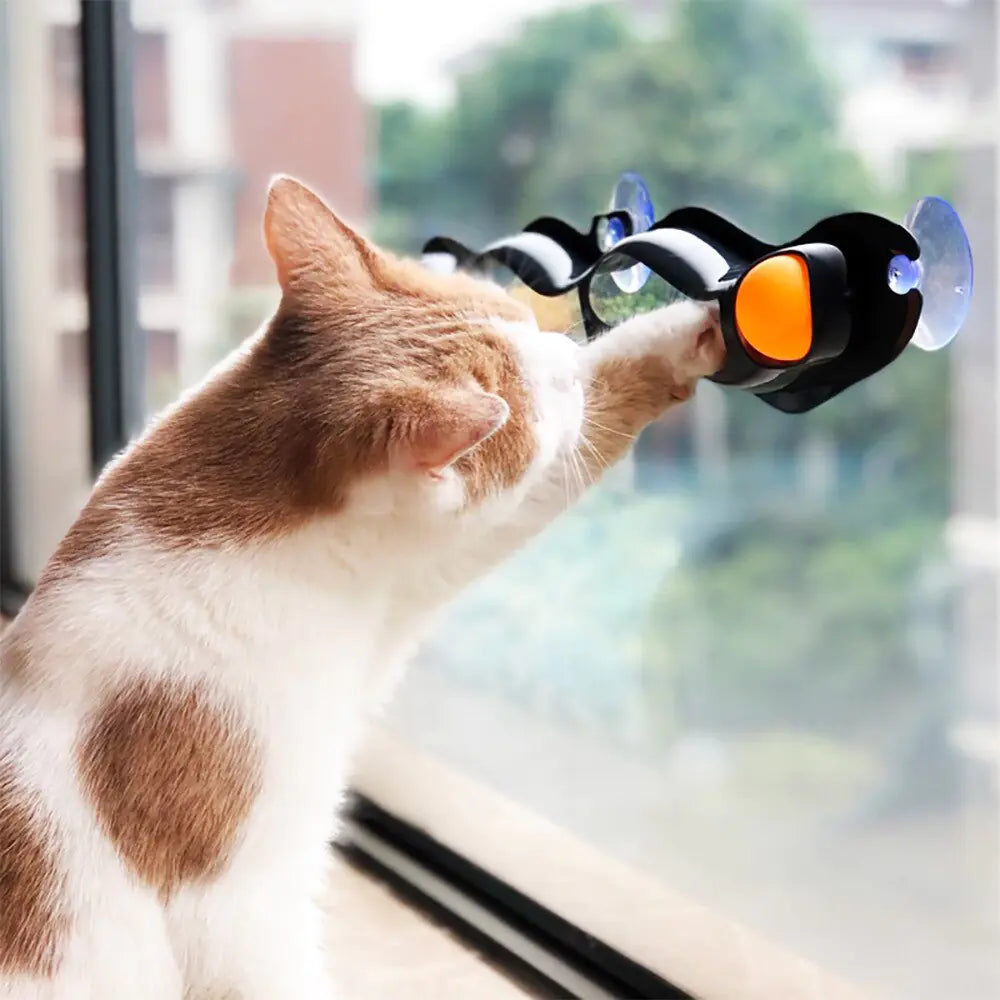 Suction Cup Cat Ball - Safe Play for Active Cats