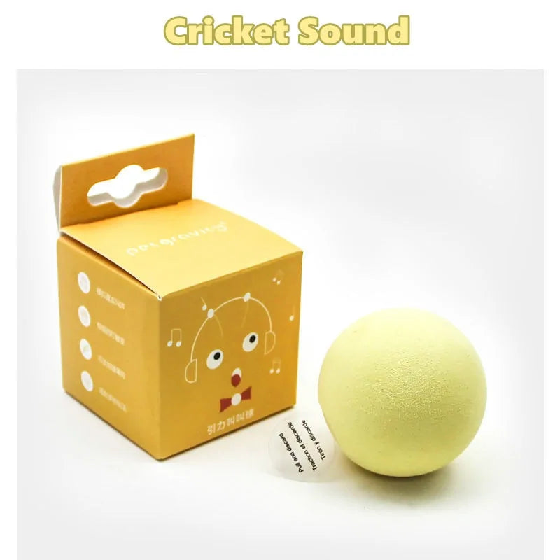 Interactive Catnip Ball - Sound Toy for Cats | FourPaws Emporium