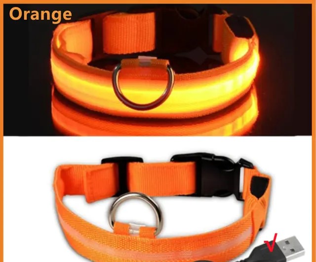 LED Glowing Dog Collar - Rechargeable & Waterproof