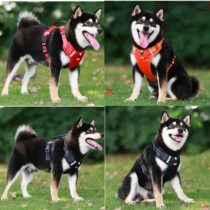 Reflective Stress- Relieving Harness