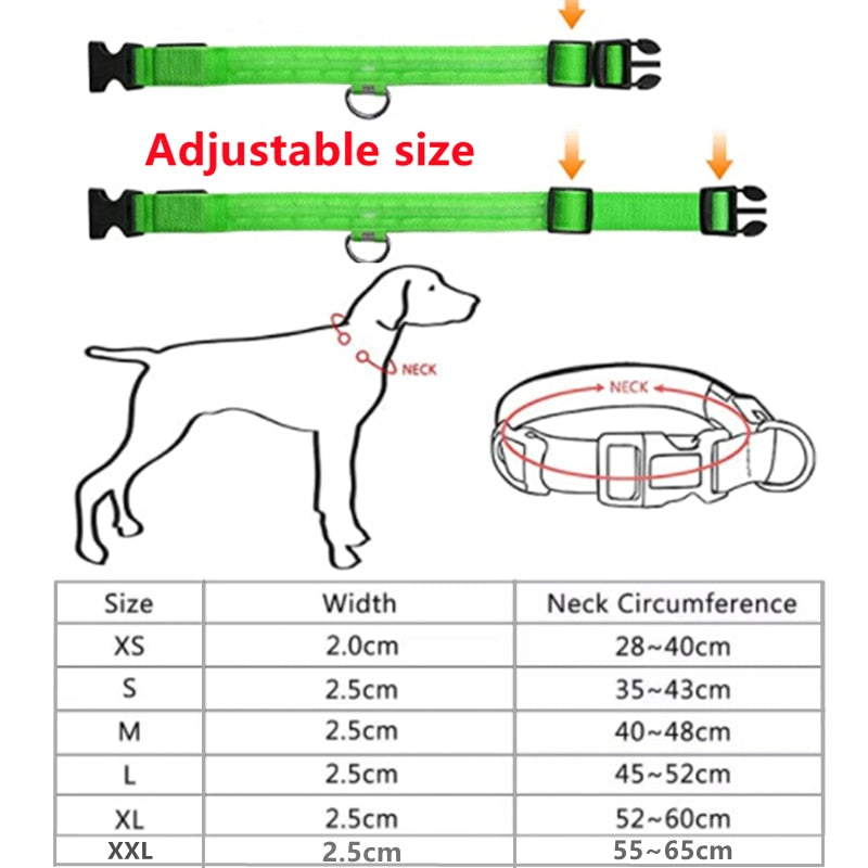 LED Glowing Dog Collar - Rechargeable & Waterproof