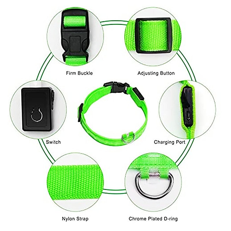 LED Glowing Dog Collar - Rechargeable & Waterproof