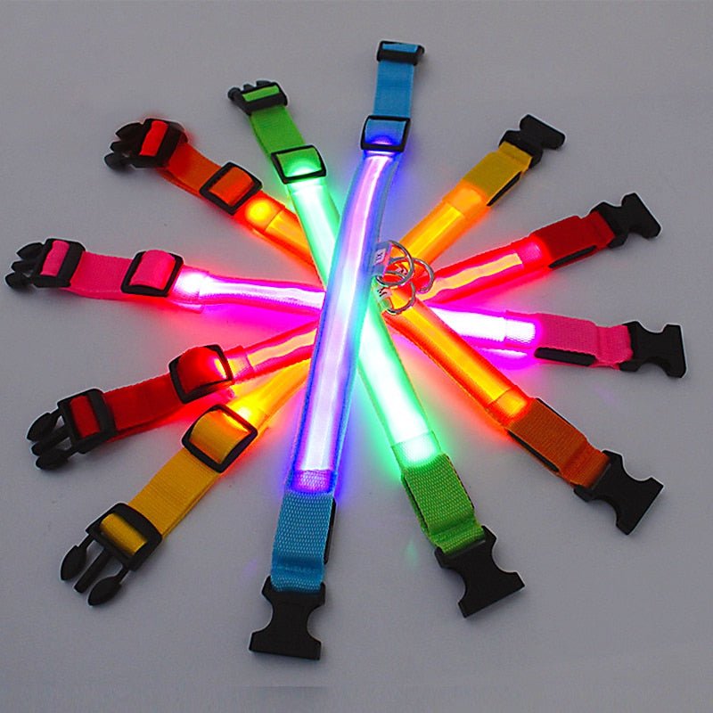 Colorful LED light-up dog collars in a variety of colors including pink, red, orange, yellow, green, and blue, designed for increased visibility during nighttime walks.